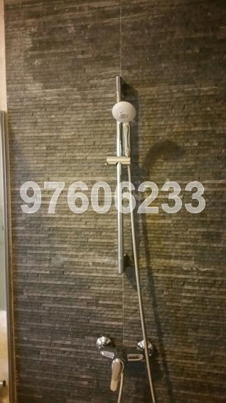 Woodsville Mansions (D13), Apartment #134146712